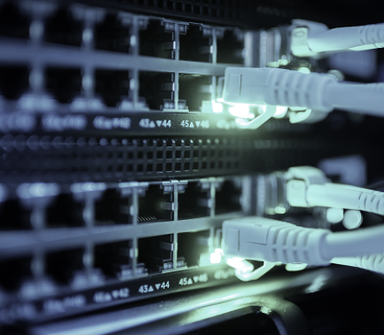 shutterstock_2485116263